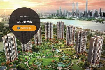 cbd楚世家封面