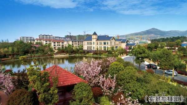 【襄阳富春山居】双11特价房,仅此一套!7.jpg