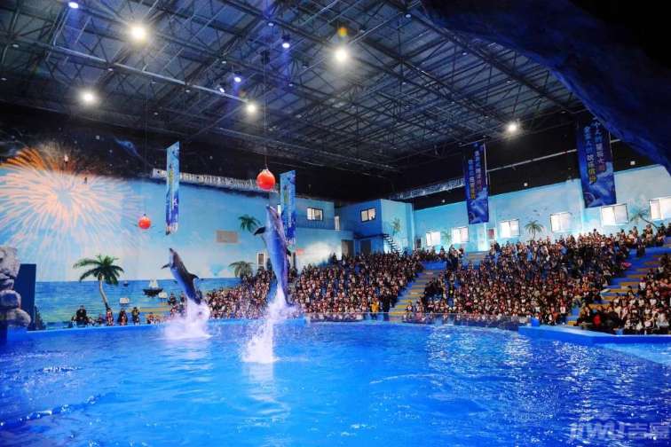 荆州海洋世界海墅湾:约您一起看“海王”