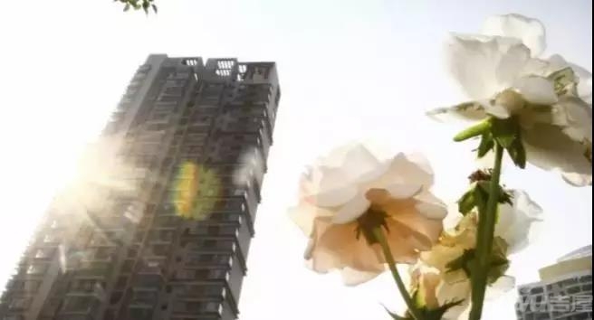 沈阳人口住房_沈阳市区人口多少