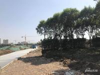 牡丹三江公园实景图43