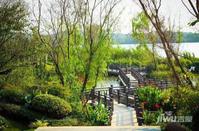 碧桂园湖光山色实景图图片