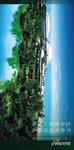 碧桂园森林城市实景图图片
