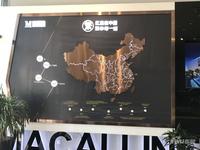 紫御天铂爱琴海国际广场品牌推广图片