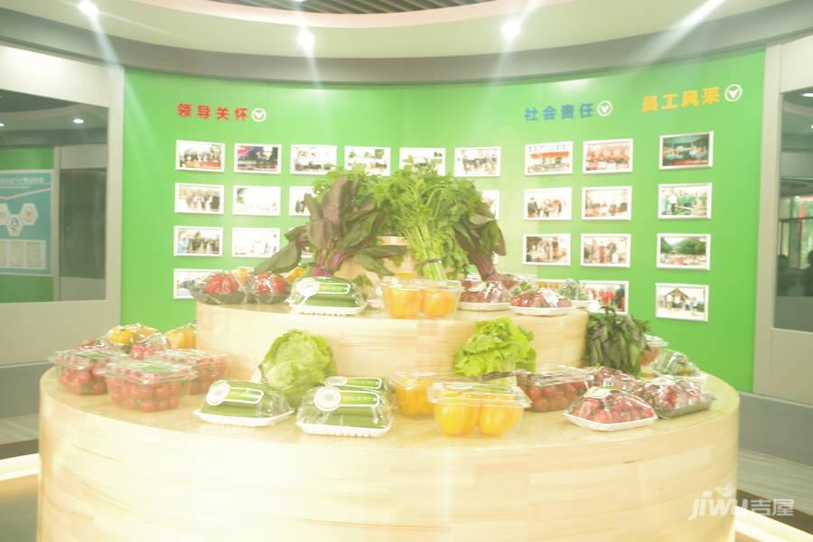 邓农生鲜物流城实景图图片