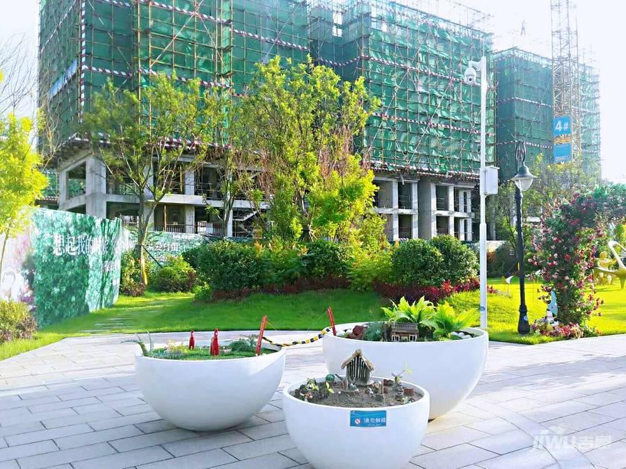 碧桂园朗悦湾最新价格：承德理想居所解析