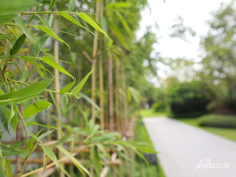 融创九棠府实景图图片