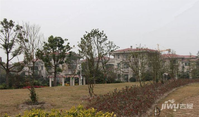 碧桂园龙游湖位置交通图图片