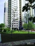 新加坡城实景图图片