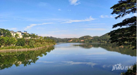 碧桂园森林湖实景图图片