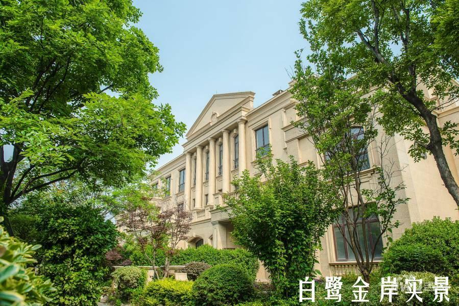 白鹭金岸别墅实景图图片