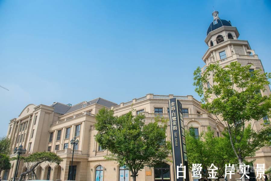 白鹭金岸别墅实景图图片