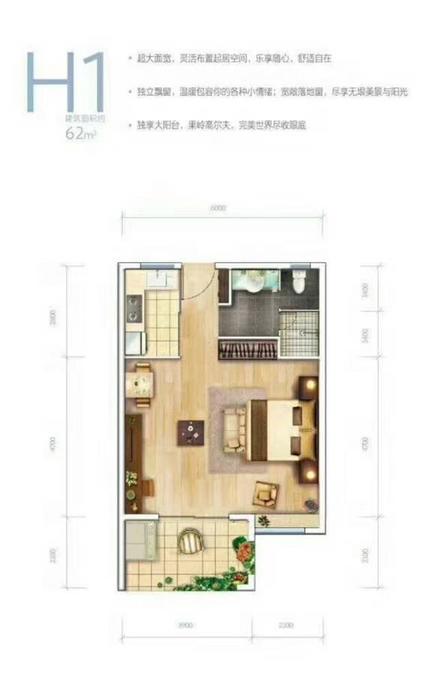 安吉缓山铂岭1室1厅1卫62㎡户型图