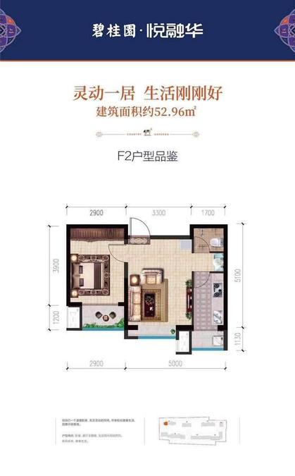 碧桂园悦融华1室1厅1卫53㎡户型图