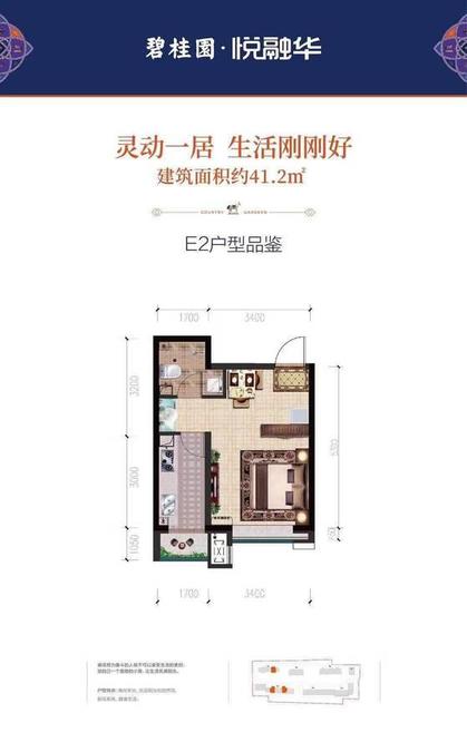 碧桂园悦融华1室0厅1卫41.2㎡户型图